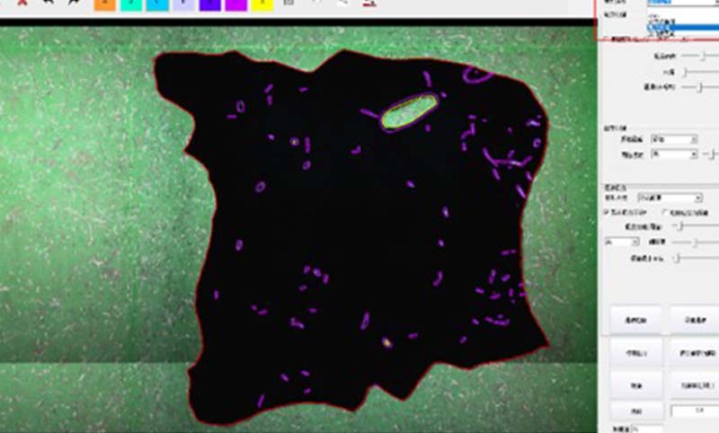 test1